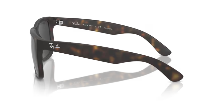 RayBan RB4165 - Justin